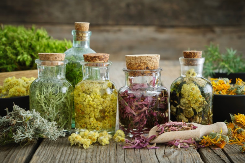 Tudo o que precisas saber sobre a naturopatia