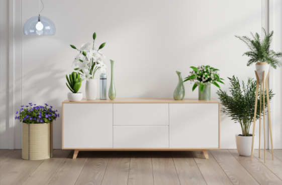 Plantas para teres em casa que purificam o ambiente