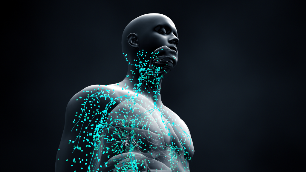 Sistema Imunitário - Como equilibrar o corpo